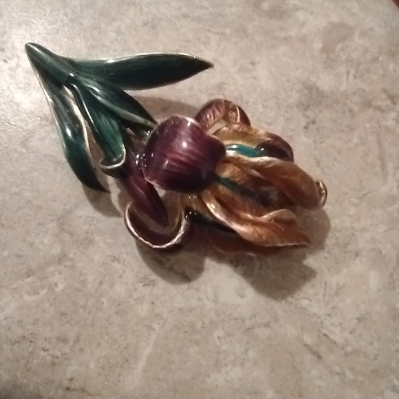 Boston MFA (Museum of Fine Arts) IRIS Enamel Brooch - Picture 9 of 13